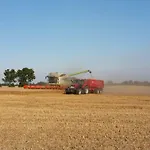 Bauermueller *