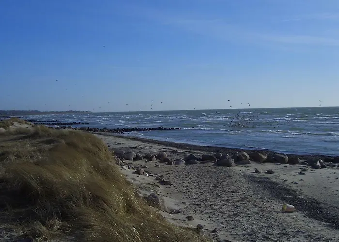 カントリーハウス Bauermueller フェーマルン